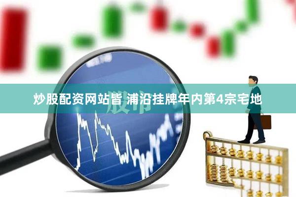 炒股配资网站皆 浦沿挂牌年内第4宗宅地