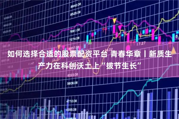 如何选择合适的股票配资平台 青春华章丨新质生产力在科创沃土上“拔节生长”