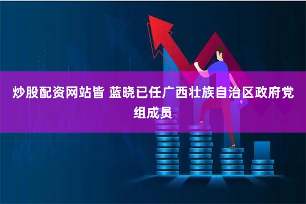 炒股配资网站皆 蓝晓已任广西壮族自治区政府党组成员