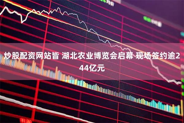 炒股配资网站皆 湖北农业博览会启幕 现场签约逾244亿元