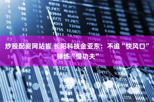 炒股配资网站皆 长阳科技金亚东：不追“快风口” 锤炼“慢功夫”